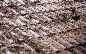 Steeple Ashton roof cleaning companies